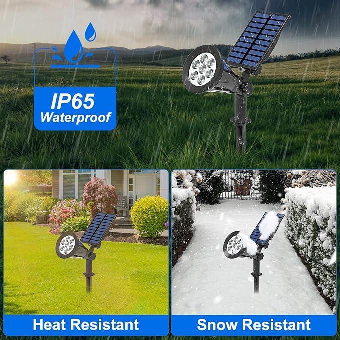 Glow In The Dark Solar Lighting